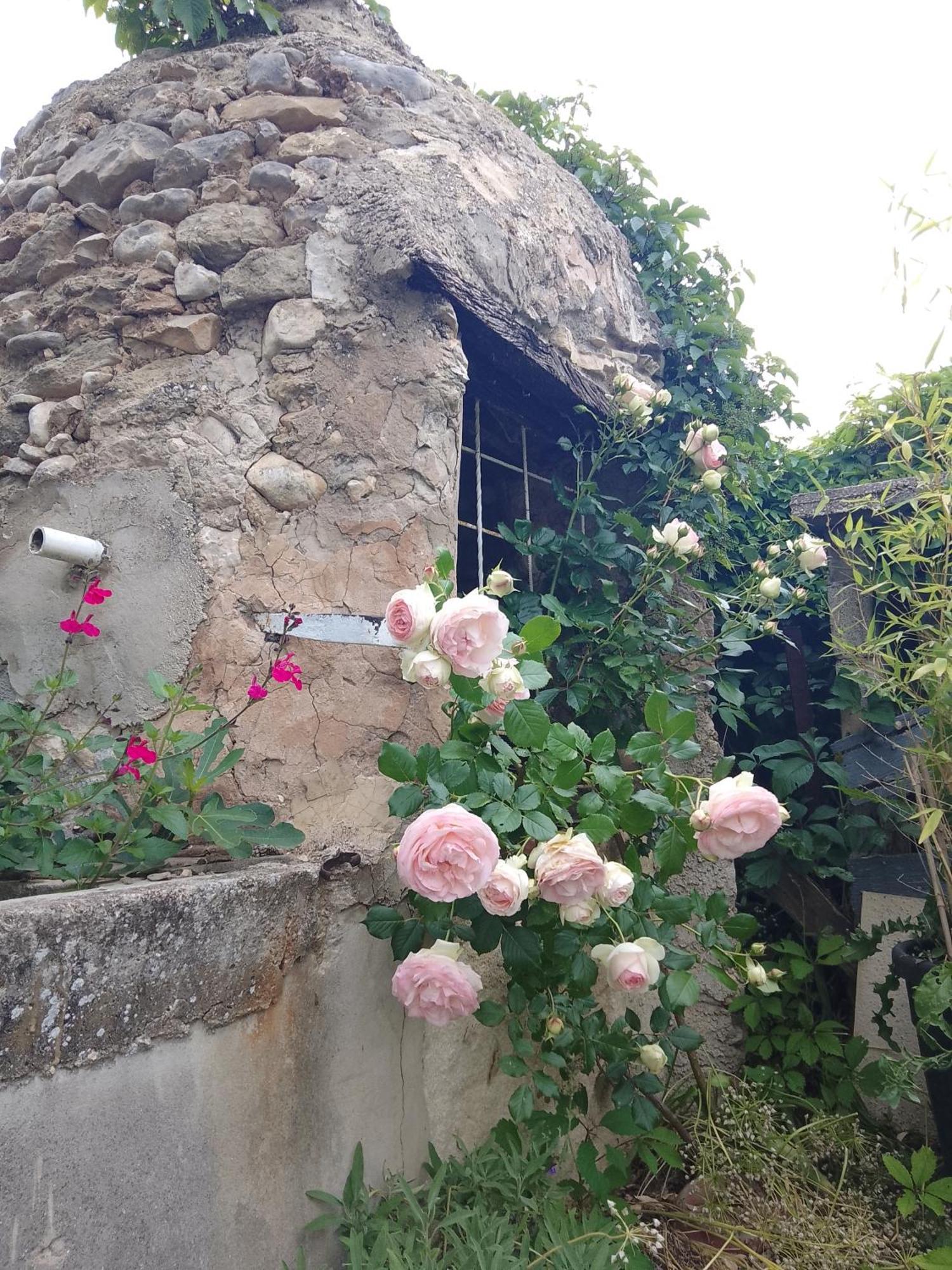 Les Gites Du Mont Ventoux 베두엥 외부 사진