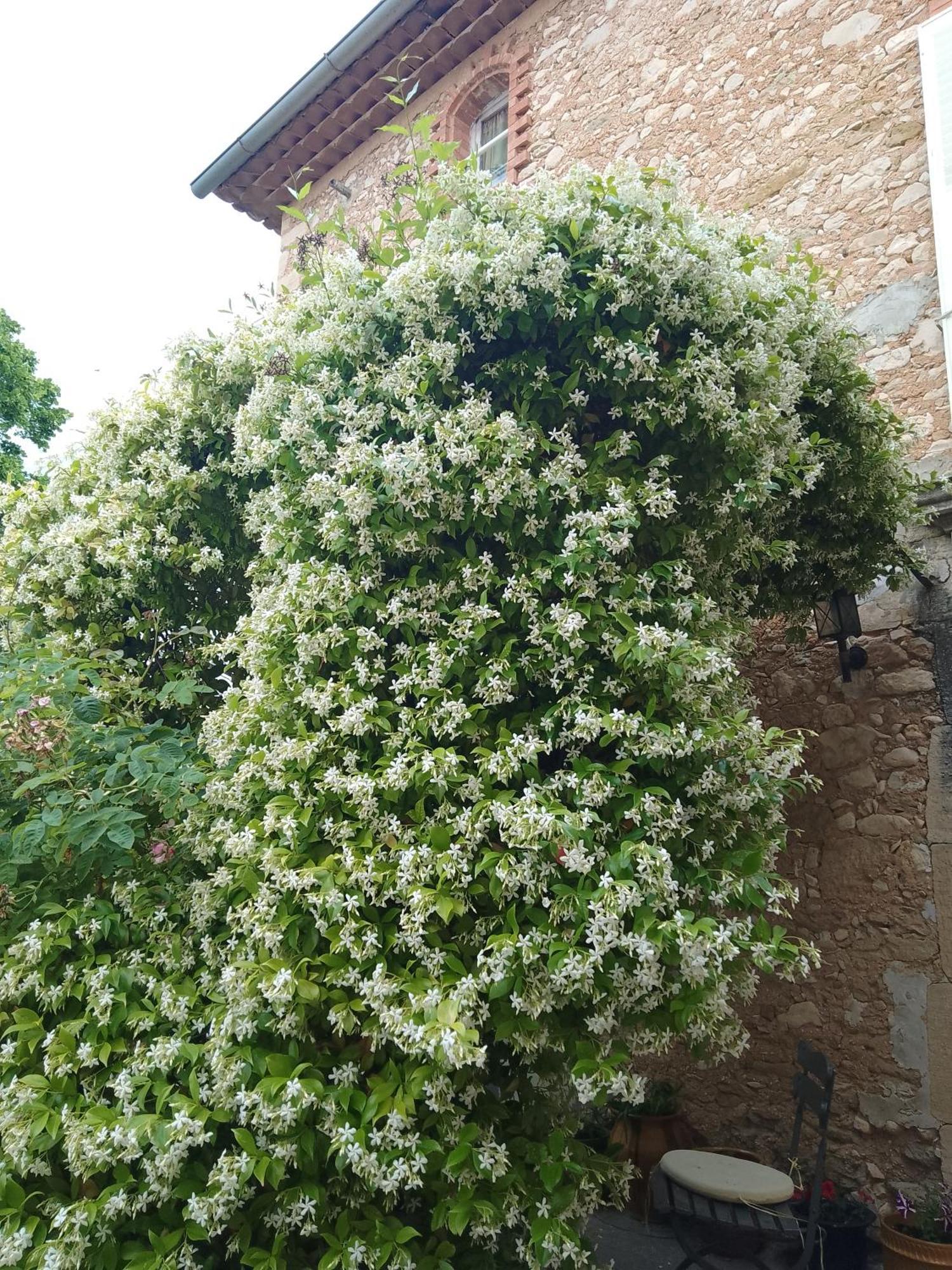Les Gites Du Mont Ventoux 베두엥 외부 사진