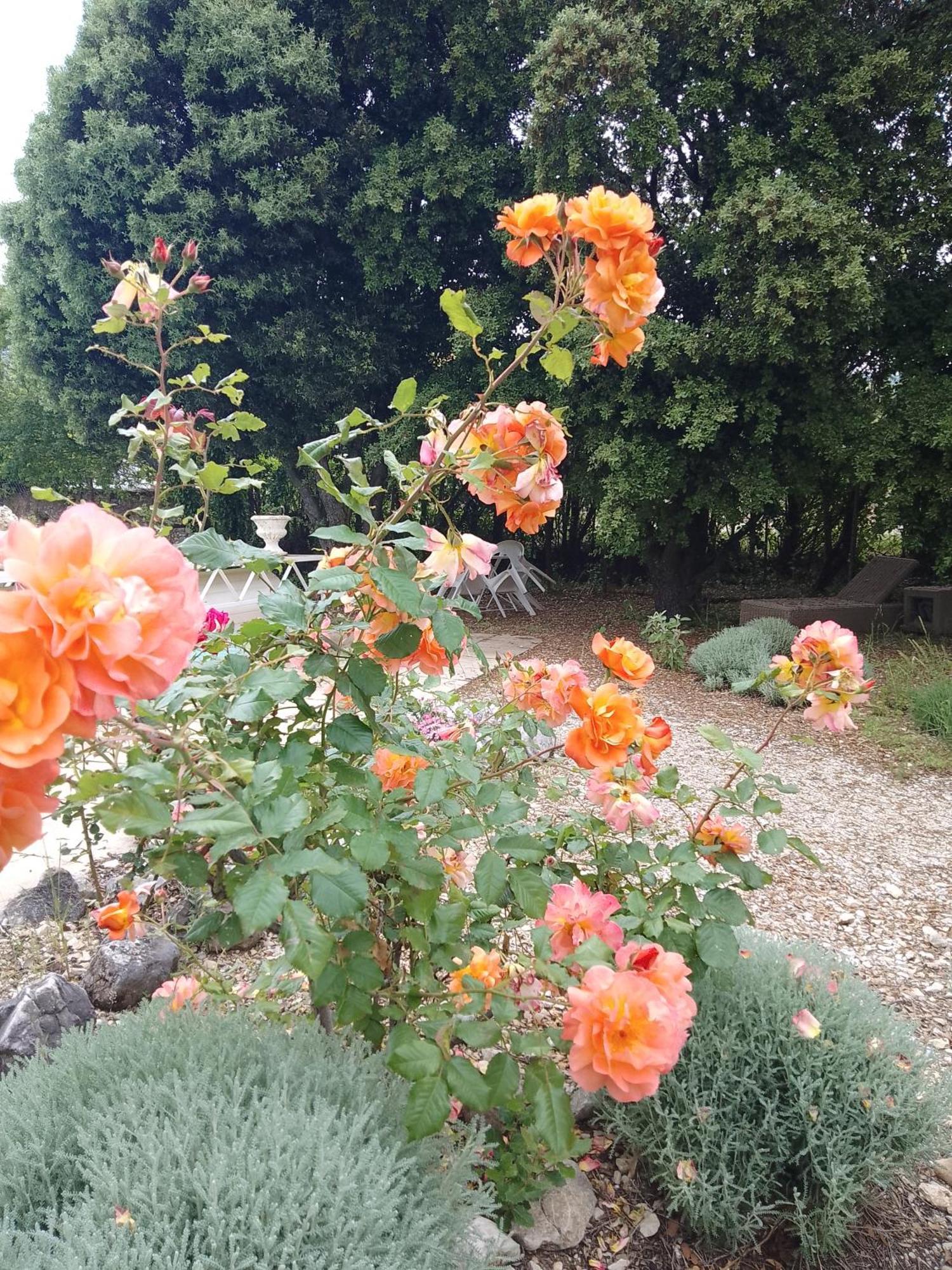 Les Gites Du Mont Ventoux 베두엥 외부 사진