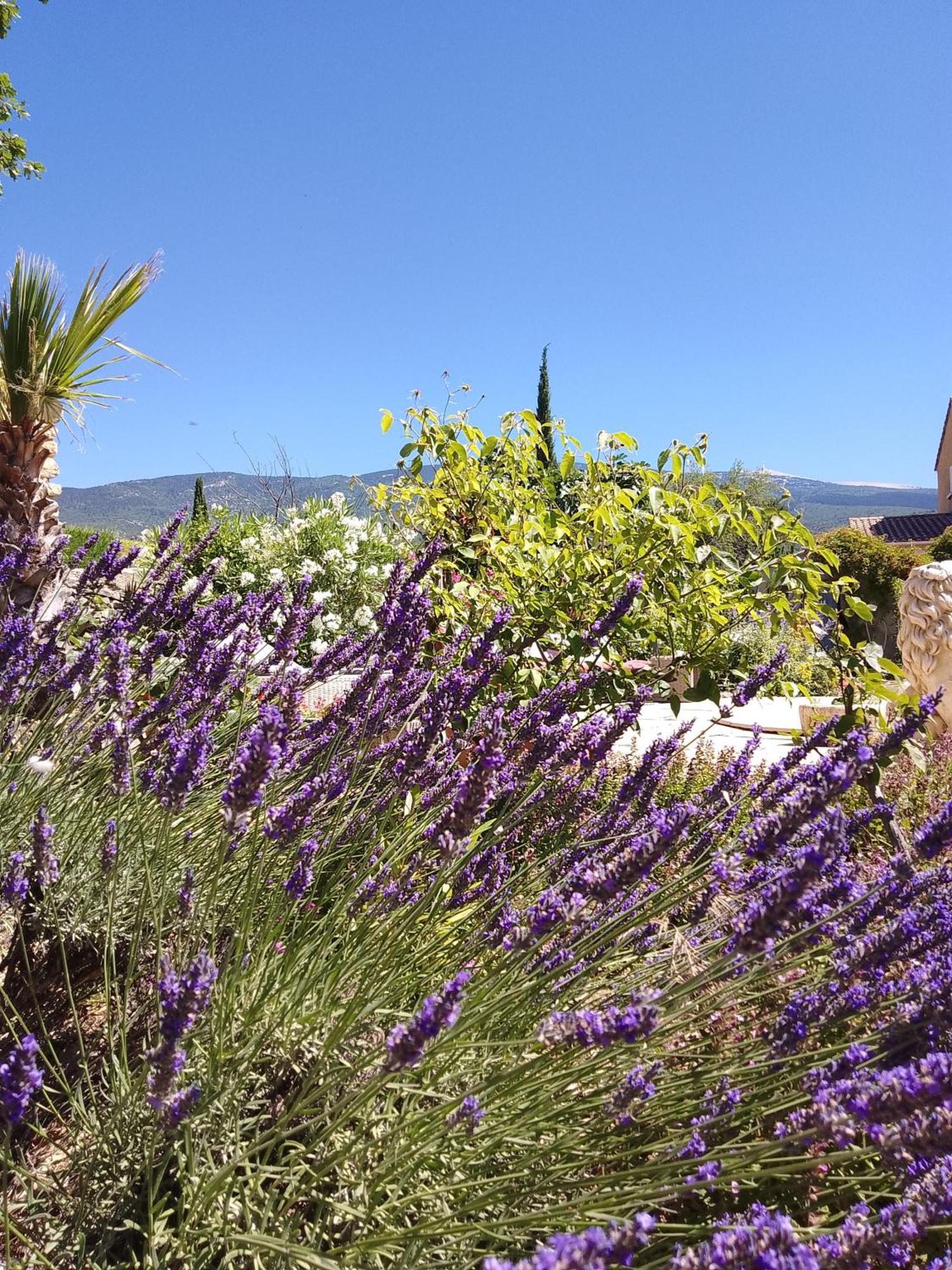 Les Gites Du Mont Ventoux 베두엥 외부 사진