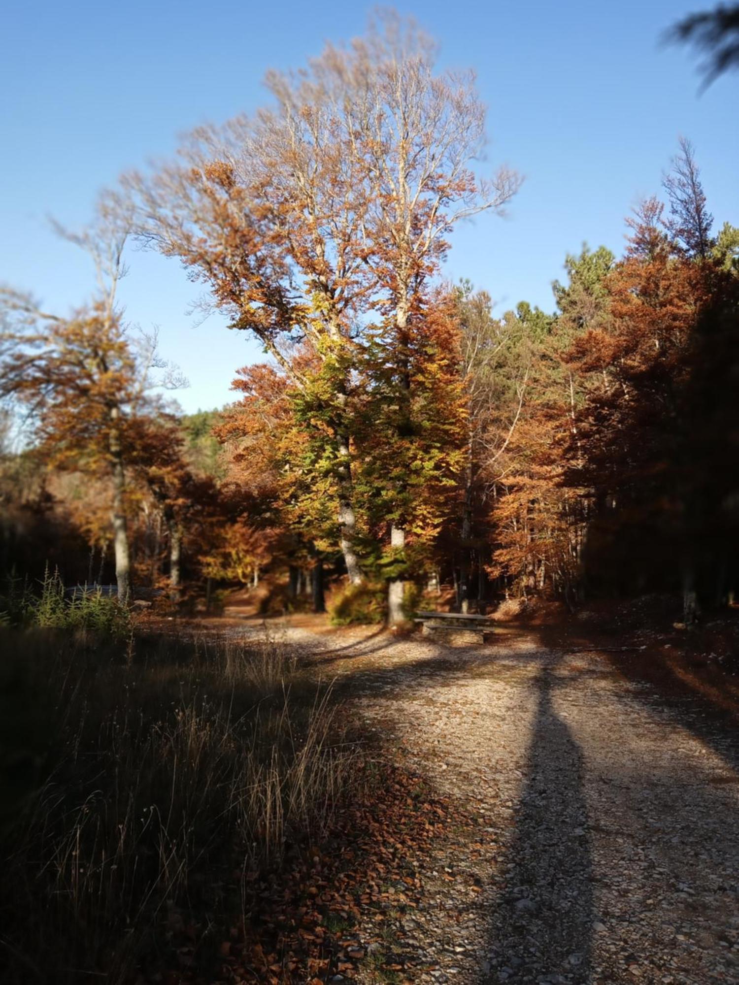 Les Gites Du Mont Ventoux 베두엥 외부 사진