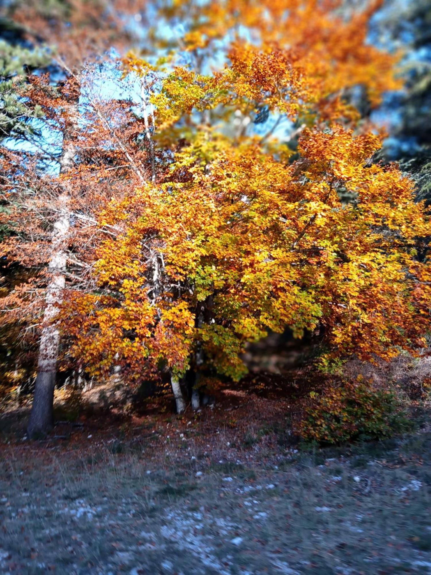 Les Gites Du Mont Ventoux 베두엥 외부 사진