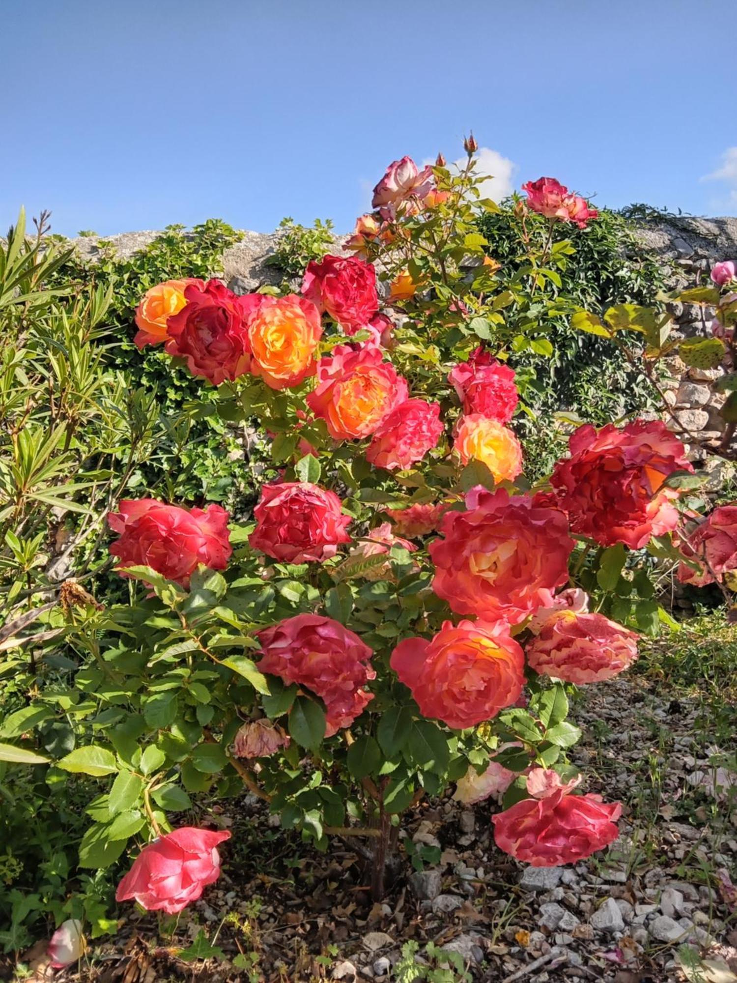 Les Gites Du Mont Ventoux 베두엥 외부 사진